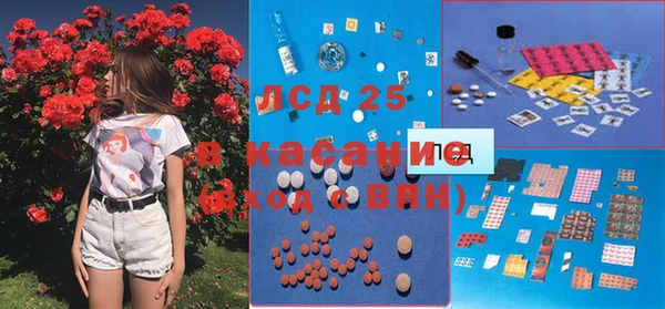 спайс Верея