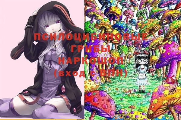бошки Верхнеуральск
