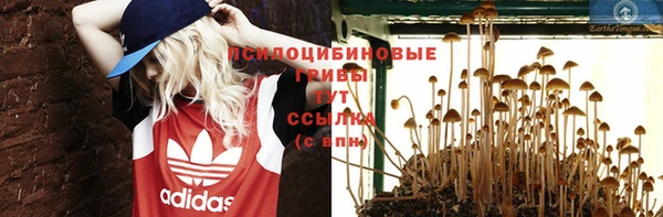 первитин Верхний Тагил