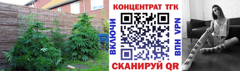Дистиллят ТГК концентрат  Купить где  Усолье-Сибирское 